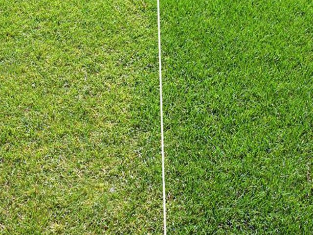 Bahçe Gübre ve Çim Tohumu Satışı