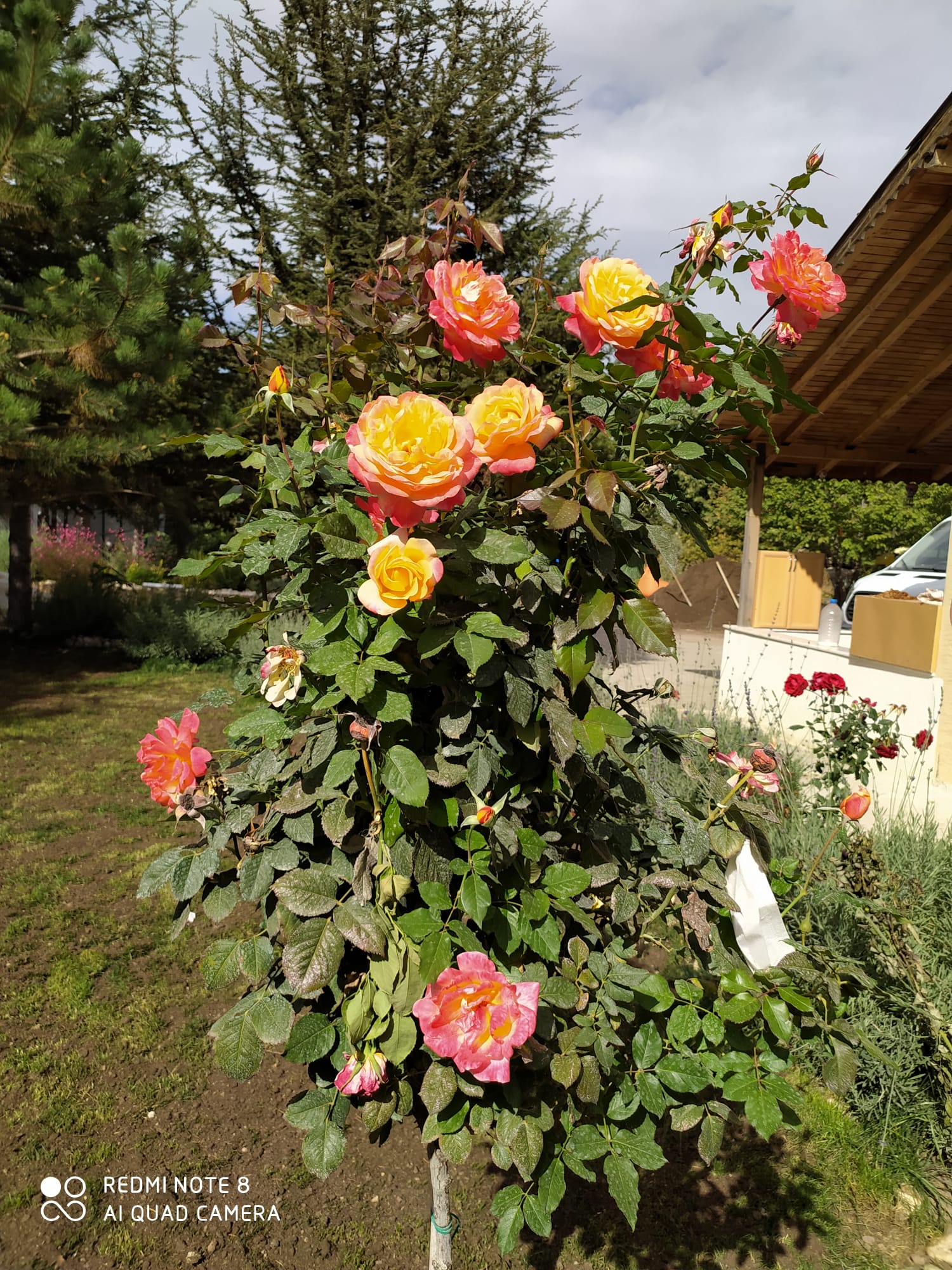 Çayyolu Çatı Tamir