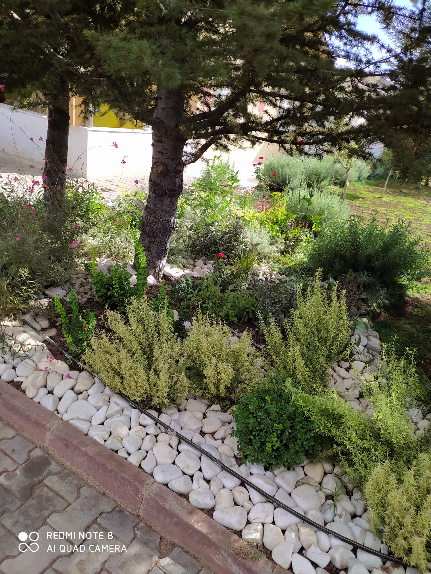 Çayyolu Çatı Tamir